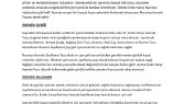 nidagulerr portfolyosu 1