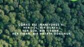 melekcelikay portfolyosu 1