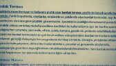nerminoz portfolyosu 1