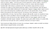 evrenerarslan portfolyosu 2