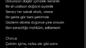 brlinar portfolyosu 2