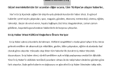 esragvn portfolyosu 4