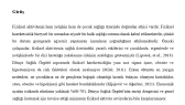 zeeyazar portfolyosu 4
