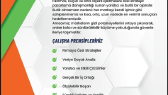 haticebektas portfolyosu 1