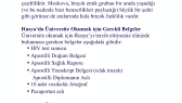 mimarkardelen portfolyosu 2