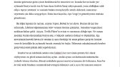 belinayipek portfolyosu 1