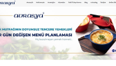 seowordpress portfolyosu 3