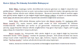 yasemincagli portfolyosu 4