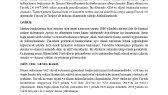 erenagis portfolyosu 1