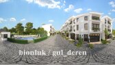 gul_deren portfolyosu 2