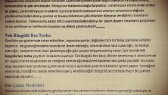 nerminoz portfolyosu 2