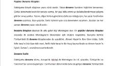 gmsmaside portfolyosu 1