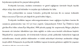sunterizm portfolyosu 2
