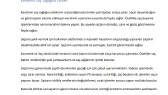 asligon portfolyosu 3