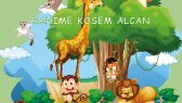 sponsordosya portfolyosu 3