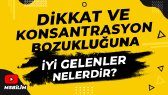 medyavagonu portfolyosu 2