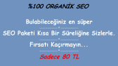 serguzesht portfolyosu 1