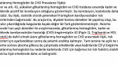 handekaramann portfolyosu 1
