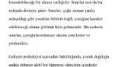 zeynepozdogan portfolyosu 3