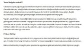 musstafabektas portfolyosu 1