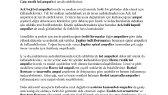 aybegumkarakus portfolyosu 3
