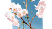 kuniqart portfolyosu 1