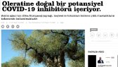 karnec portfolyosu 1