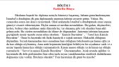 ayazsercanerdem portfolyosu 1