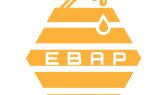 aleynacndnn portfolyosu 1