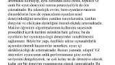 nexra portfolyosu 1