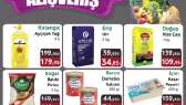gulsahcobanoglu portfolyosu 1