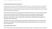 elifakkas portfolyosu 4