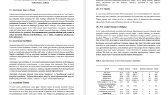 auditoranalist portfolyosu 1