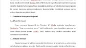 makaleyazari33 portfolyosu 2