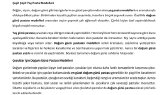 gmsmaside portfolyosu 2