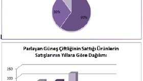 İstatistiksel Analiz Danışmanlığı
