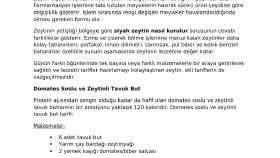 Web Sitesi İçin Blog İçerik