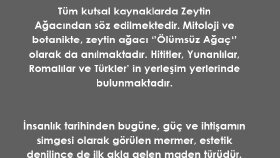 Zeytinyağı üzerine bir metin çalışması
