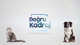 Introlar