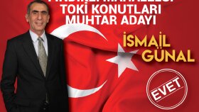 Broşür & Katalog Tasarımı