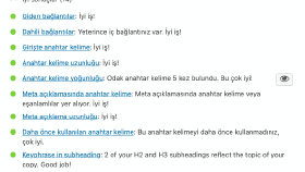 Blog Yazıları