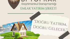 Sosyal Medya Yönetimi 