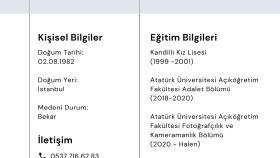 Profesyonel Özgeçmiş 