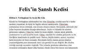 17 Sayfalık Hikaye