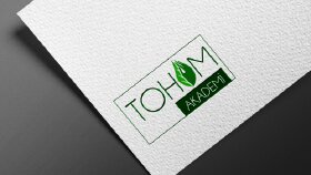Tohum Akademi Logo Çalışması