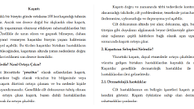 Youtube video metinleri