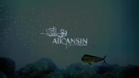 alicansininanc için logo intro tasarımı