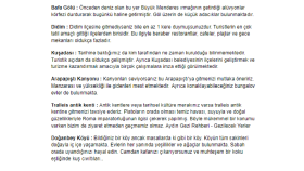 Şehir Seyahat Öneri makale çalışması