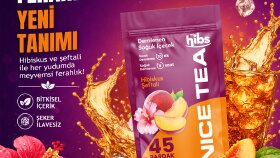 Çekik-Hibs Konsept Tasarım