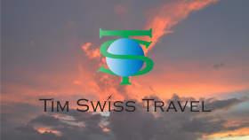 TİMSWİSS LOGO TASARIMI